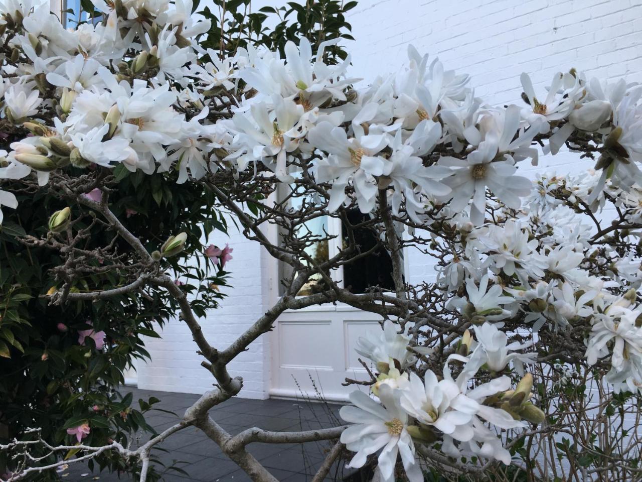 塔斯马尼亚博斯科贝尔酒店 阿尔弗斯通 外观 照片